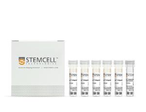 EasySep™ human Naïve B cell enrichment kit