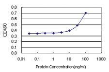 Anti-IFNAR1 Antibody Pair