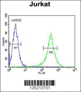 Anti-GNE Rabbit Polyclonal Antibody (APC (Allophycocyanin))