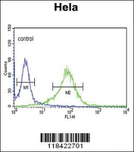 Anti-NTRK2 Rabbit Polyclonal Antibody