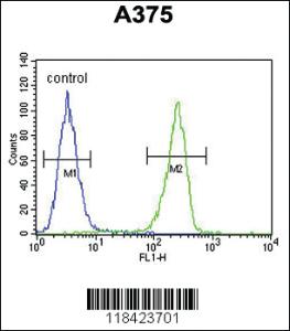 Anti-LUM Rabbit Polyclonal Antibody