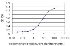 Anti-PPIE Mouse Monoclonal Antibody [clone: 2F5]