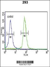 Anti-STK40 Rabbit Polyclonal Antibody [clone: 345CT19.6.2]