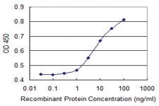 Anti-TAB1 Mouse Monoclonal Antibody [clone: 2G9]