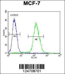 Anti-ABHD11 Rabbit Polyclonal Antibody (AP (Alkaline Phosphatase))