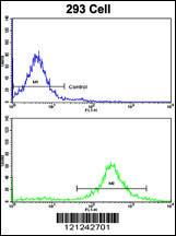 Anti-MOBP Rabbit Polyclonal Antibody (APC (Allophycocyanin))