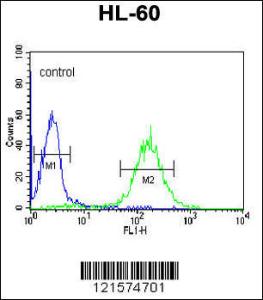 Anti-CBLB Rabbit Polyclonal Antibody (APC (Allophycocyanin))