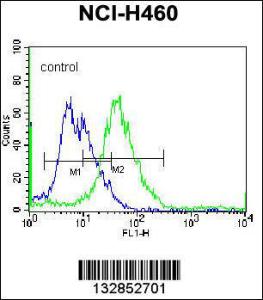 Anti-PELI3 Rabbit Polyclonal Antibody (APC (Allophycocyanin))