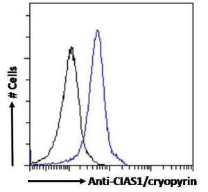 Anti-NLRP3 Antibody (A82453) Flow cytometric analysis of paraformaldehyde fixed U937 cells (blue line), permeabilized with 0.5% Triton. Primary incubation 1hr (10µg/ml) followed by Alexa Fluor 488 secondary antibody (4µg/ml).