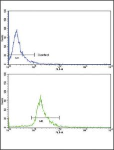 Anti-ENG Rabbit Polyclonal Antibody (APC (Allophycocyanin))