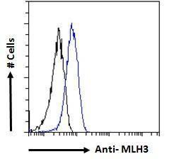 Anti-MLH3 Antibody (A121163) - Flow cytometric analysis of paraformaldehyde fixed HeLa cells (blue line), permeabilized with 0.5% Triton. Primary incubation 1hr (10µg/ml) followed by Alexa Fluor 488 secondary antibody (1µg/ml).