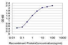 Anti-MYH9 Mouse Monoclonal Antibody [clone: 2B3]