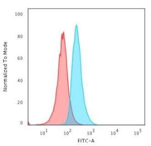 Flow cytometric analysis of human Jurkat cells using Anti-CD34 Antibody [HPCA1/1806R] followed by Goat Anti-Mouse IgG (CFand#174; 488) (Blue). Isotype Control (Red)