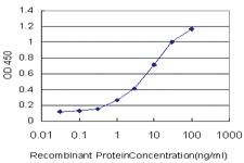 Anti-PCDHB3 Mouse Monoclonal Antibody [clone: 4F6]