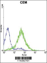 Anti-EDNRA Rabbit Polyclonal Antibody