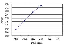 Anti-POLA2 Antibody Pair