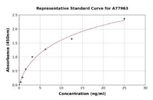 Representative standard curve for Rat Cytochrome C ELISA kit (A77963)