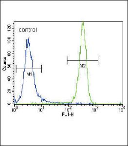 Anti-NRAS Rabbit Polyclonal Antibody