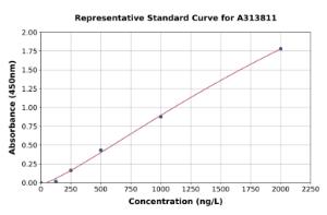 Representative standard curve for human RAMP1 ELISA kit (A313811)