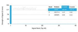 Analysis of protein array containing more than 19,000 full-length human proteins using Anti-Geminin Antibody [GMNN/7037R] Z-Score and S- Score