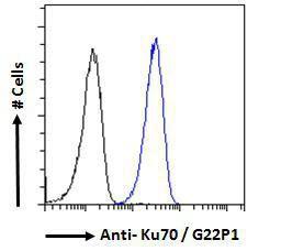 Antibody anti-TLR4 100 µg