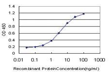 Anti-EVI2B Mouse Monoclonal Antibody [clone: 2G9]