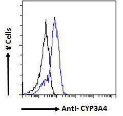 Antibody anti-PRKAB2 100 µg