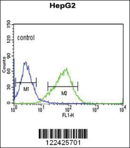 Anti-OR2H2 Rabbit Polyclonal Antibody