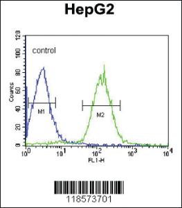 Anti-PLTP Rabbit Polyclonal Antibody