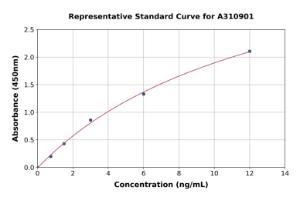 Representative standard curve for Human IL-36R ELISA kit (A310901)