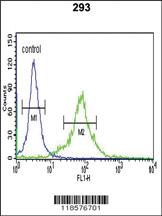 Anti-AOC1 Rabbit Polyclonal Antibody