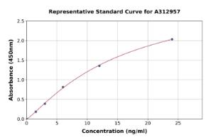 Representative standard curve for Human CHST15 ELISA kit (A312957)