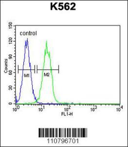 Anti-KDM4C Rabbit Polyclonal Antibody (PE (Phycoerythrin))