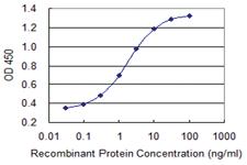 Anti-SI Mouse Monoclonal Antibody [clone: 1A8]