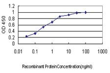 Anti-EWSR1 Mouse Monoclonal Antibody [clone: 5C10]