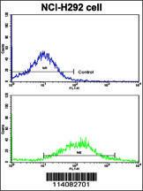 Anti-CDH6 Rabbit Polyclonal Antibody (PE (Phycoerythrin))