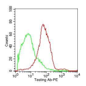 Flow cytometric analysis of PHA stimulated PBMCs with Anti-CD37 Antibody [IPO-24] followed by Goat Anti-Mouse IgG (PE) (Red) Isotype Control (Green)