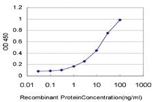 Anti-RPL4 Mouse Monoclonal Antibody [clone: 4A3]