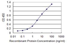 Anti-MAP3K7 Mouse Monoclonal Antibody [clone: 3C9]