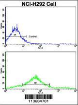 Anti-CDH7 Rabbit Polyclonal Antibody (AP (Alkaline Phosphatase))