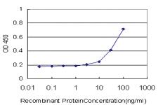 Anti-EXT1 Mouse Monoclonal Antibody [clone: 5A5]