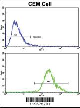 Anti-CNOT8 Rabbit Polyclonal Antibody