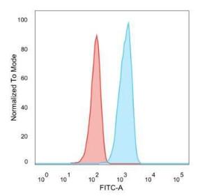 Flow cytometric analysis of PFA fixed HeLa cells using Anti-TCF25 Antibody [PCRP-TCF25-1A11] followed by Goat Anti-Mouse IgG (CFand#174; 488) (Blue). Unstained cells (red)