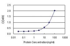 Anti-EGFL7 Antibody Pair