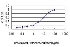 Anti-EXT2 Mouse Monoclonal Antibody [clone: 3G6]