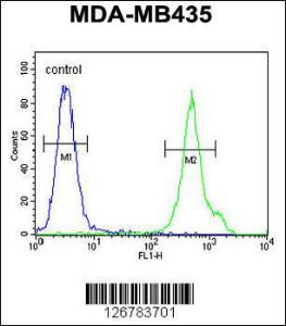 Anti-CD1E Rabbit Polyclonal Antibody (AP (Alkaline Phosphatase))