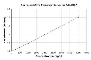 Representative standard curve for human RARRES1 ELISA kit (A313817)