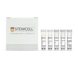 EasySep™ mouse mesenchymal stem/progenitor cell enrichment kit