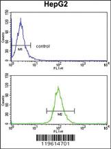 Anti-ELOVL6 Rabbit Polyclonal Antibody