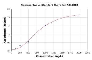 Representative standard curve for human NDRG1 ELISA kit (A313818)